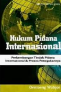 Hukum Pidana Internasional